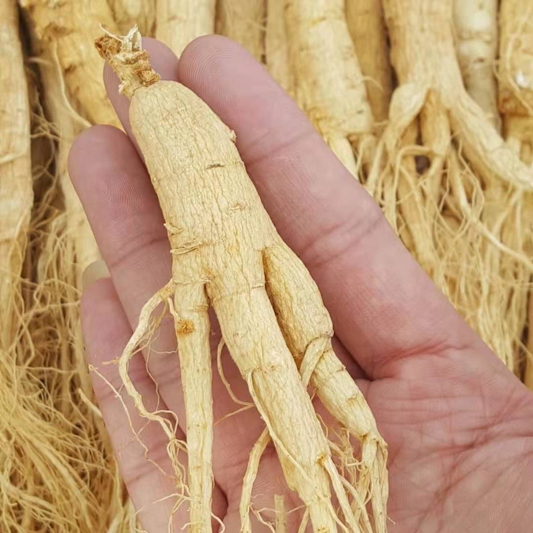 产自东北吉林长白山人参自然凉晒白干参真空包装250g食用泡酒