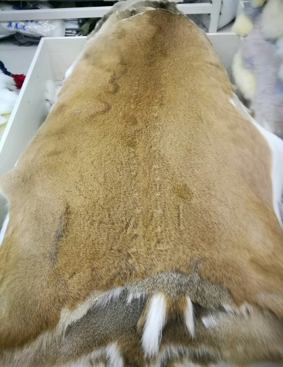 皮草-鹿皮 养殖鹿皮皮草皮毛原料皮整张鹿皮人工饲养鹿皮-皮草尽在阿