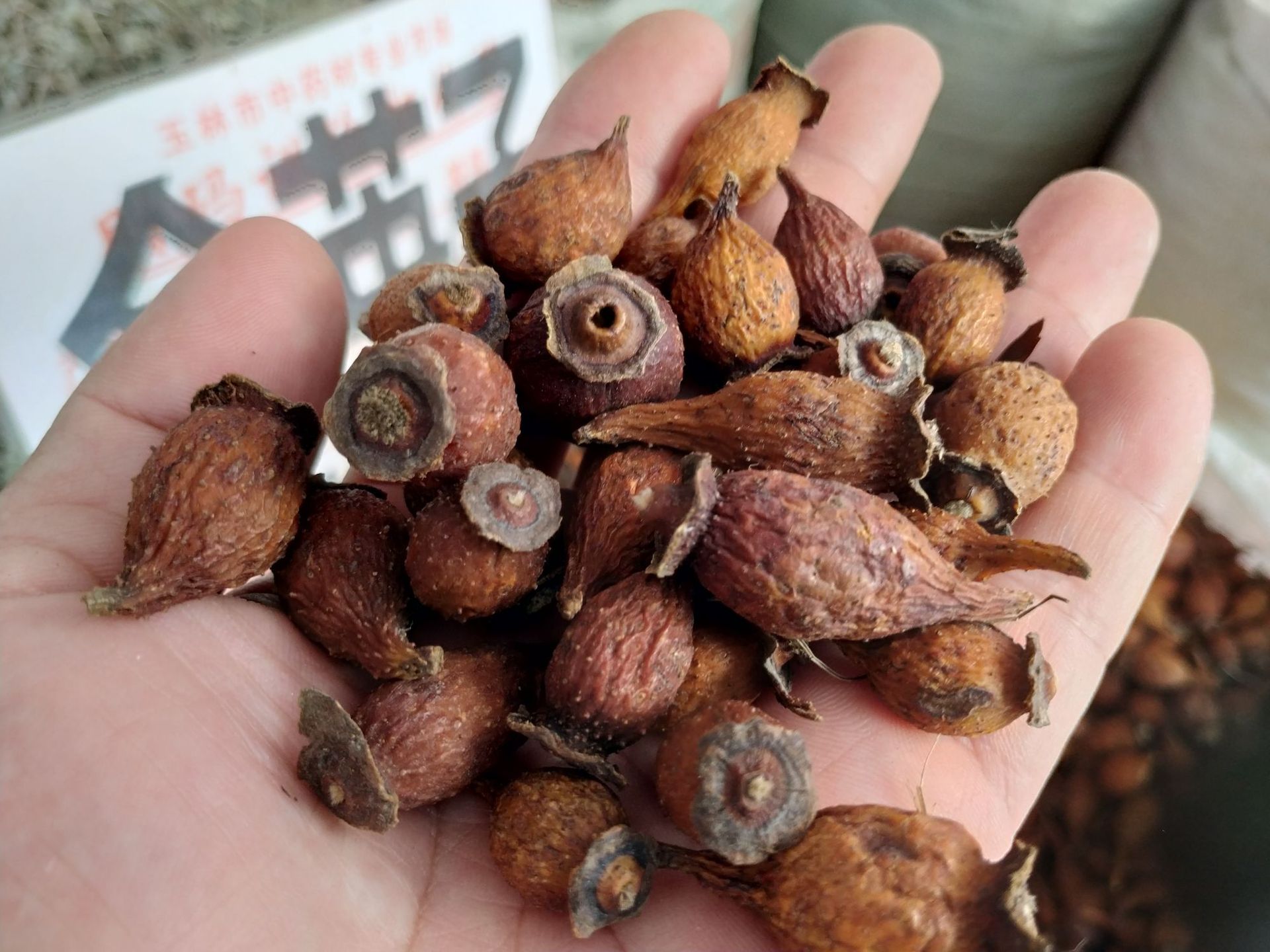 金樱子野生榆子金罂子刺梨子优质中药材泡酒山石榴山鸡子产地批发