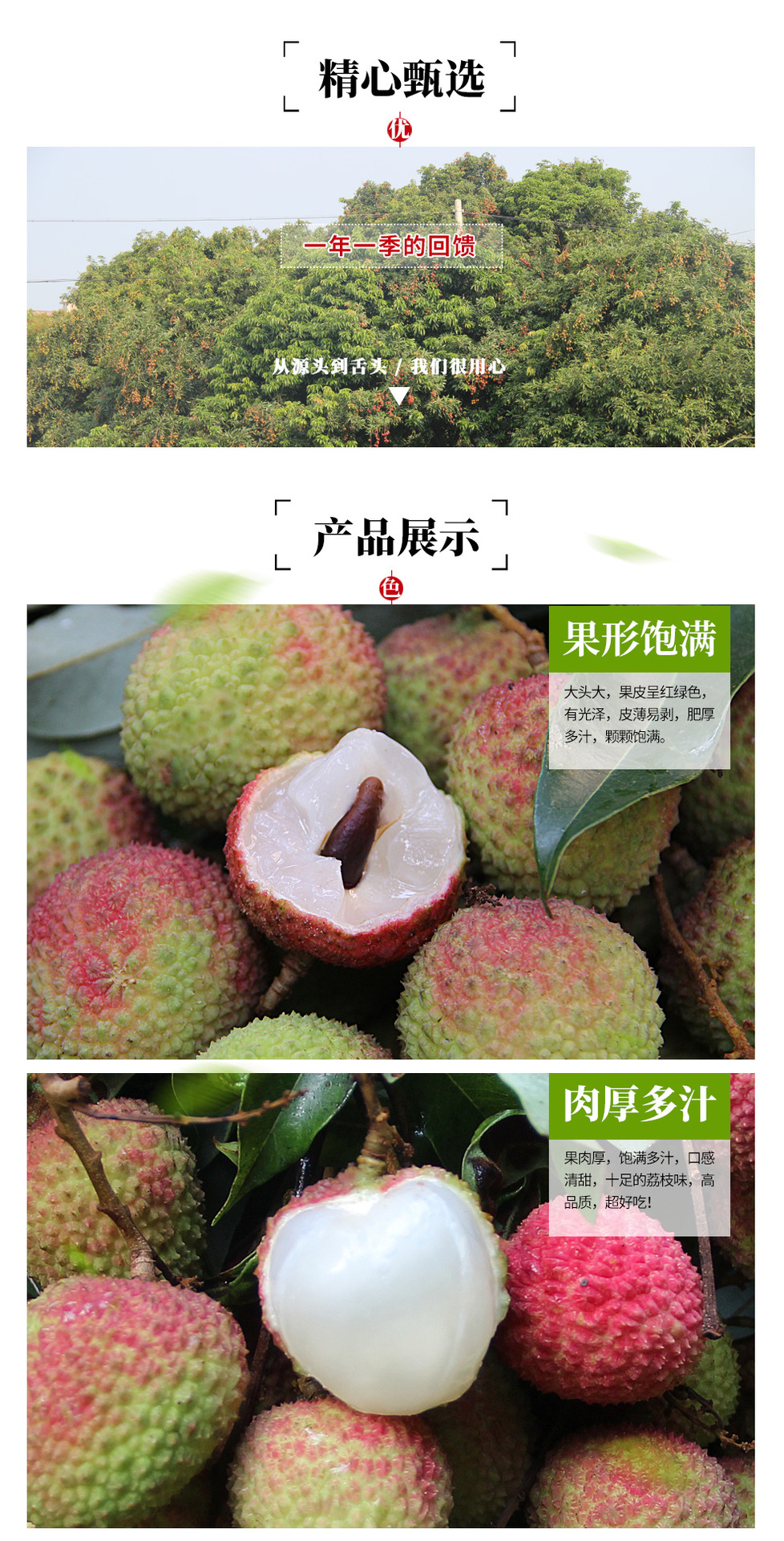 妃子笑荔枝5斤顺丰包邮