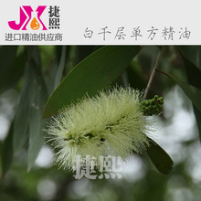 百千层单方精油CAJUPUT 香薰油100%纯精油原料批发