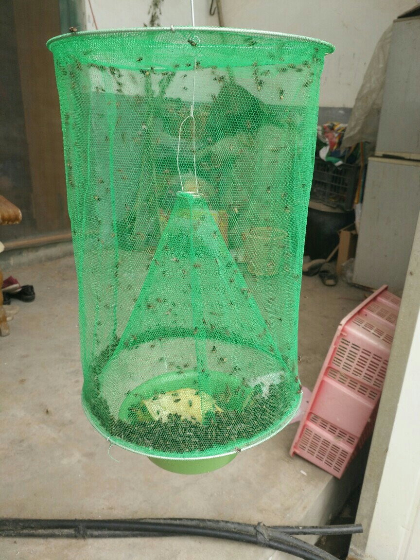 灭蝇笼 捕蝇笼 苍蝇笼 诱蝇笼 绿网苍蝇笼 绿色款苍蝇笼