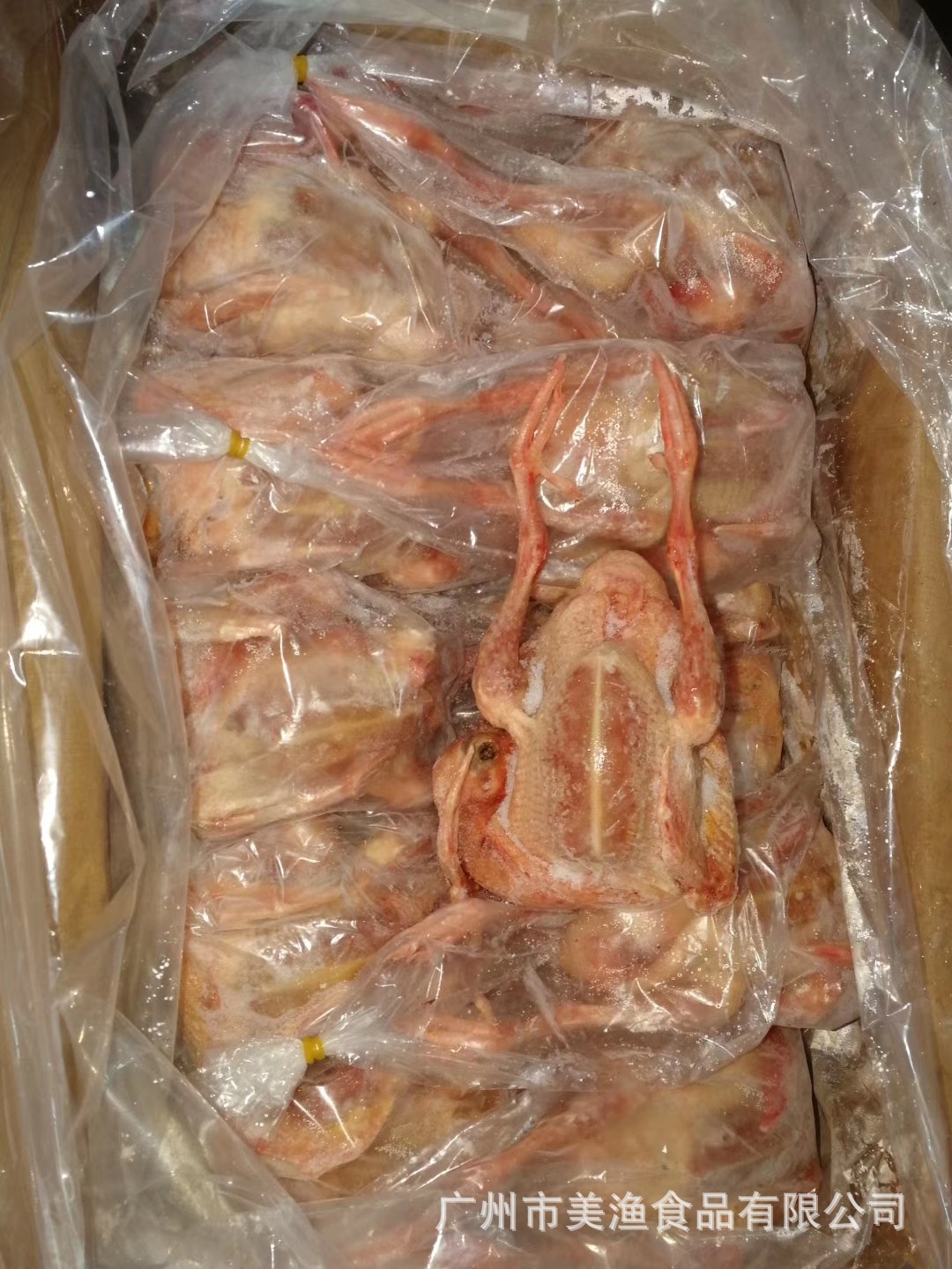 冷冻乳鸽 脆皮乳鸽 白条鸽子餐饮商用 土鸽子汤 5-9两/只 20只/箱