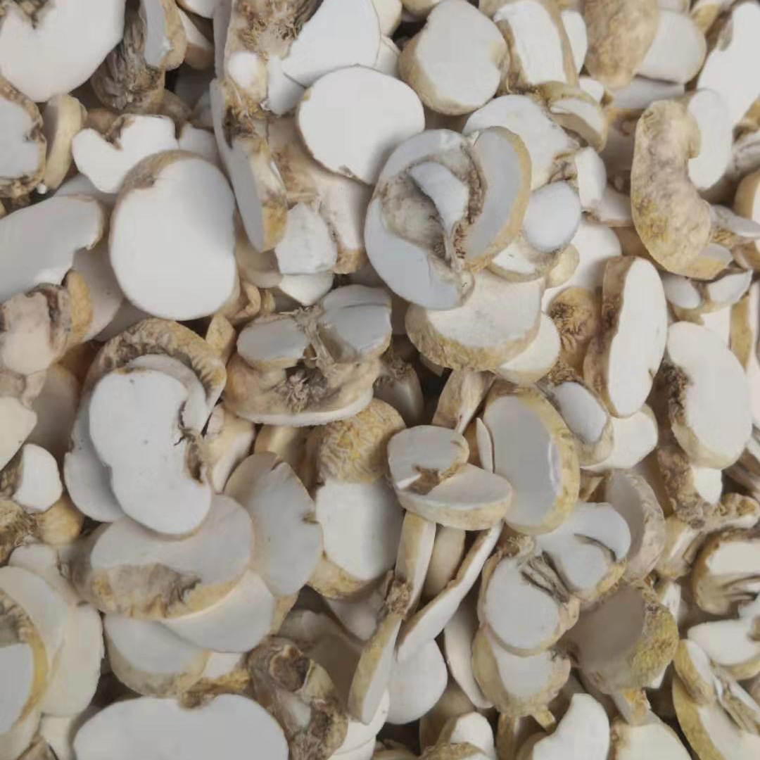 中药材贝母 散装川贝母500g平贝母 浙贝母批发 大货加工定制