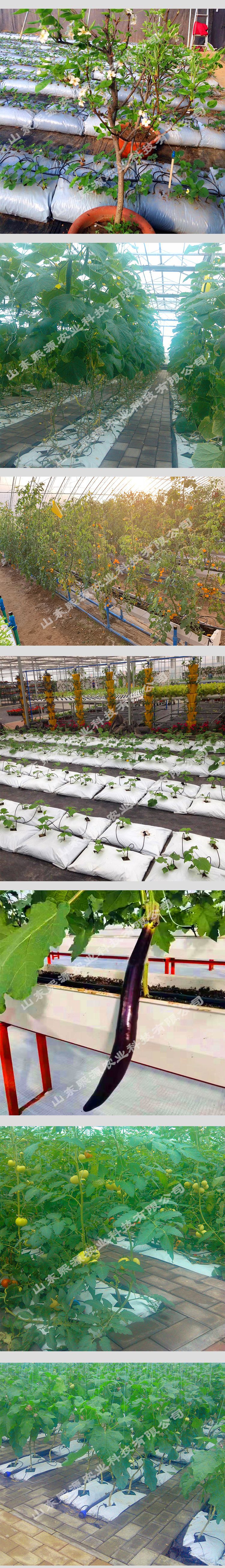 厂家供应基质袋培 基质土 营养土 无土栽培设施 营养栽培土质