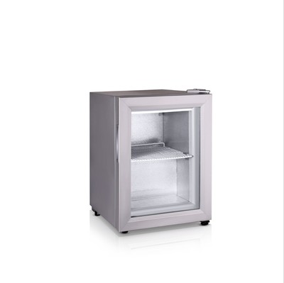 雪村sd-21立式冷冻展示冷柜商用迷你小型家用冰箱冰激凌雪糕冰柜