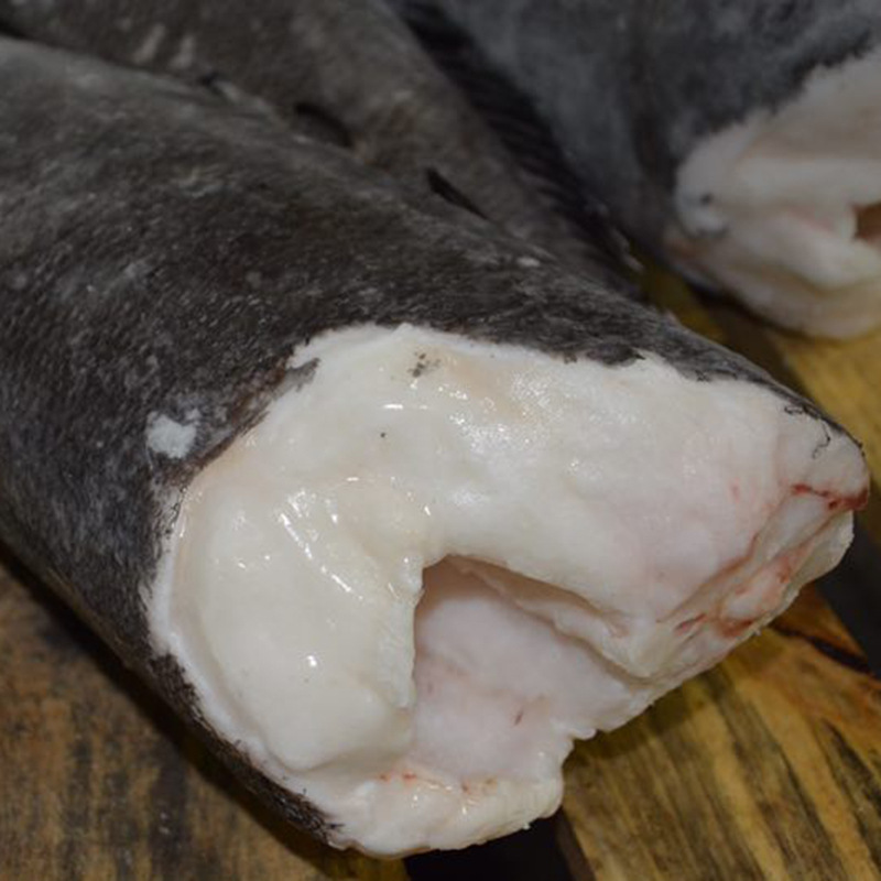 定制批发澳洲银鳕鱼 整条鱼去头尾 南极深海进口新鲜冷冻鳕鱼
