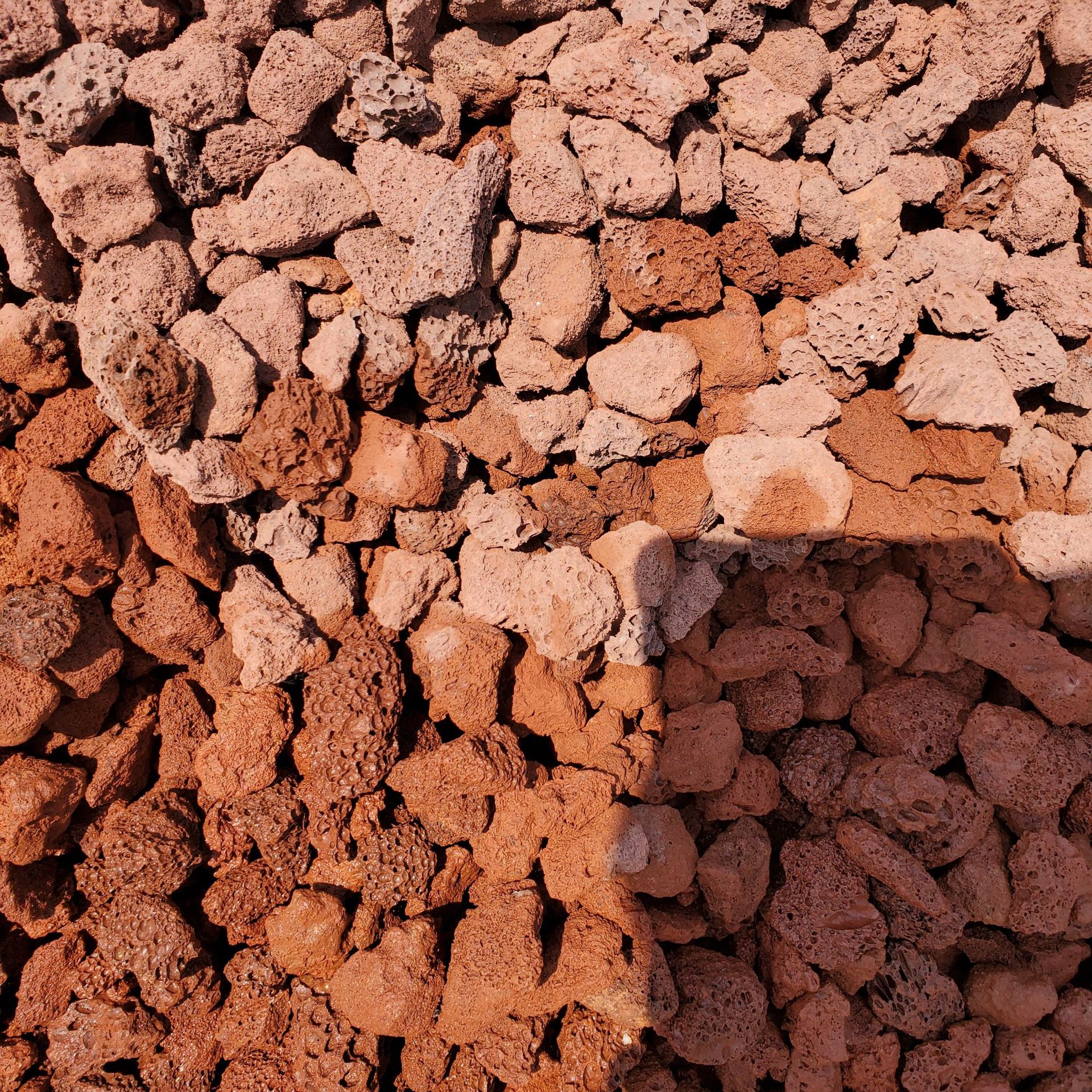 厂家批发兰花园林造景多肉植物铺面用 火山石