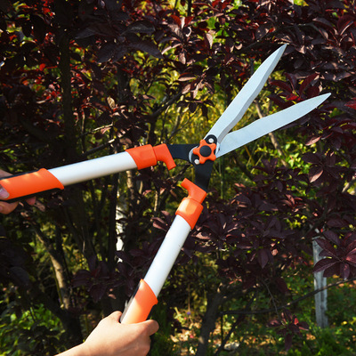 绿篱剪园艺剪刀 进口果树绿化剪刀花园剪草坪花剪修枝剪园林