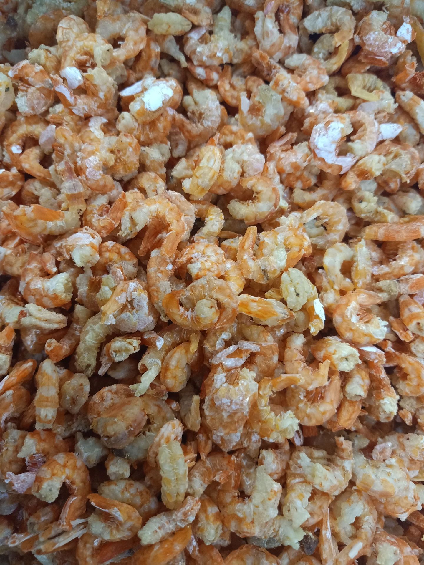 批发销售小金钩海米 干货海产虾米 散装销售海米 干虾米