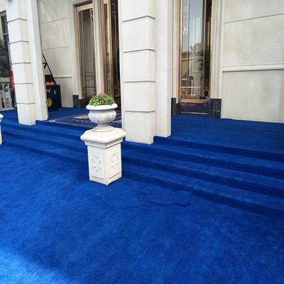 加厚迎宾活动地毯舞蹈房会议室工作室录音棚演播厅婚纱店簇绒地毯