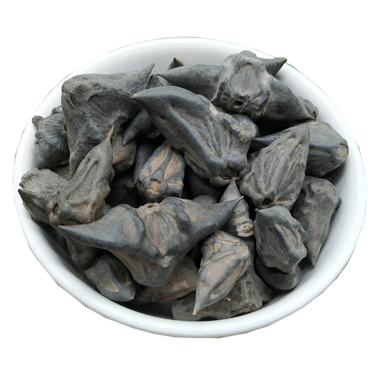 大货供应 四角菱 菱角 马甲子 雄虎刺 铁菱角白棘量大从优