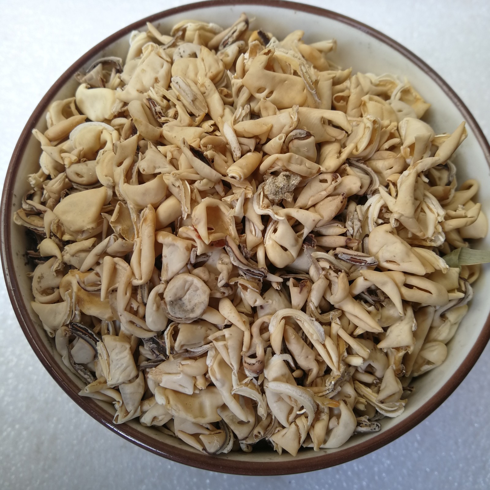 批发中药材扁豆衣白扁豆皮白扁豆衣辽宁新货正品扁豆衣河南扁豆衣