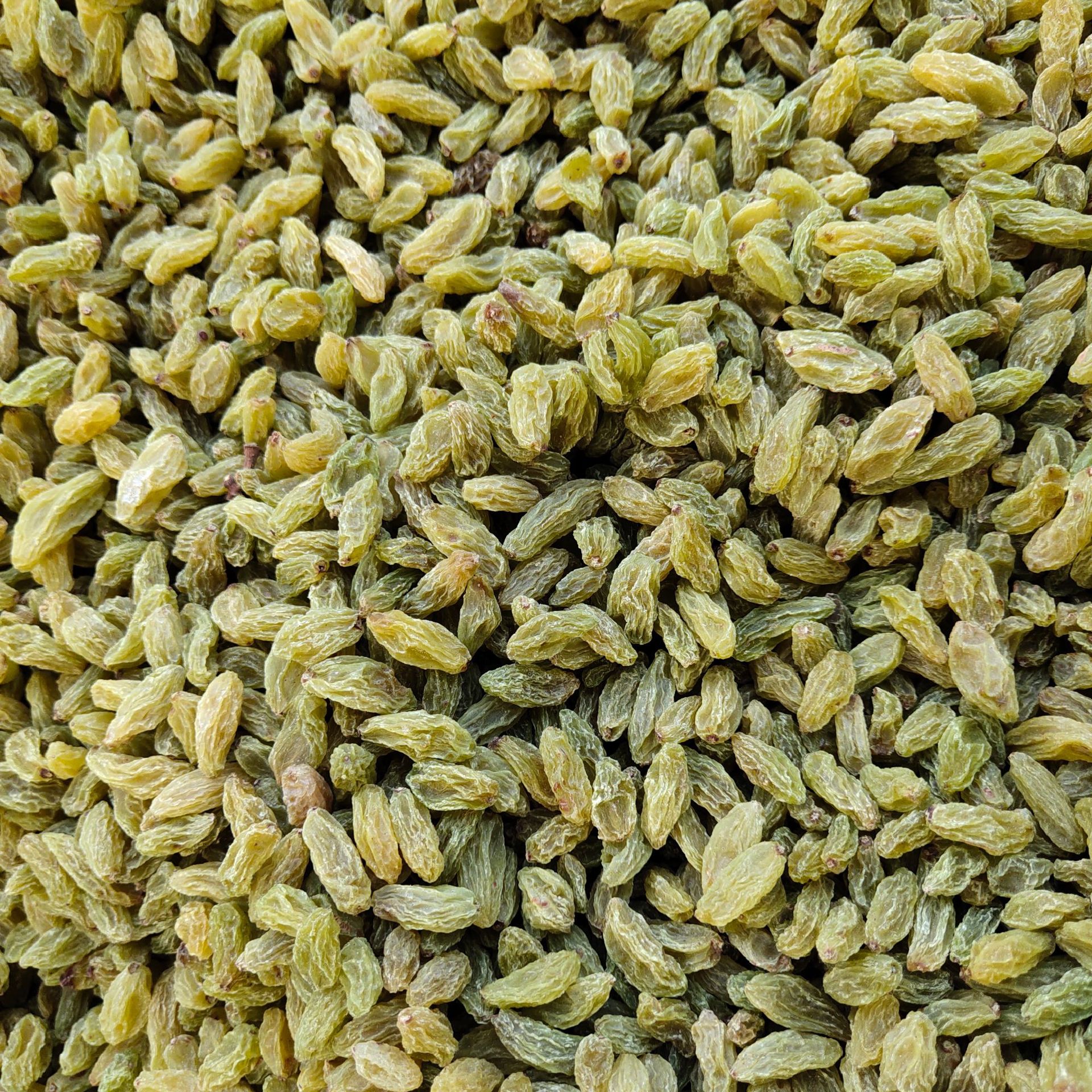 新疆特产干果妃葡萄干酸甜可口肉质饱满 包粽子无籽葡萄干500g