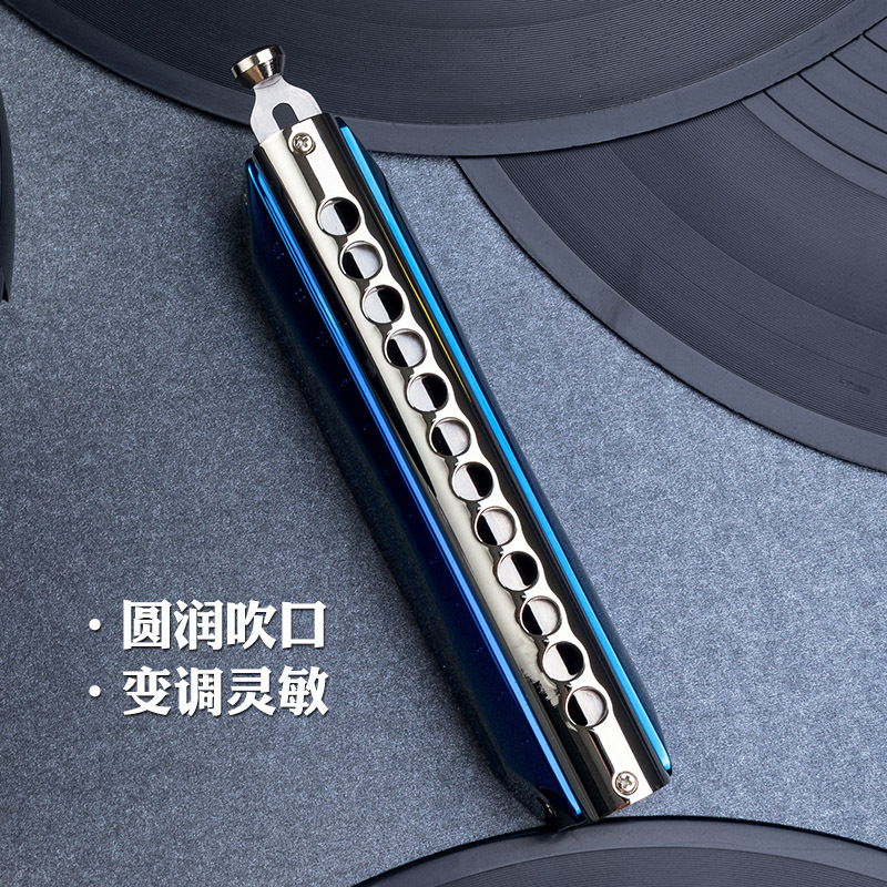 进口音簧孔声半音阶口琴12孔48音新手成人初学入门演奏变调乐器琴