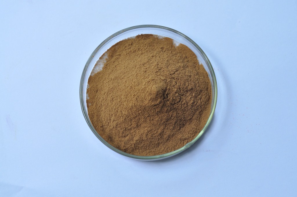 褐藻糖胶10%-95% 岩藻多糖 厂家直供 褐藻提取物 昊轩生物