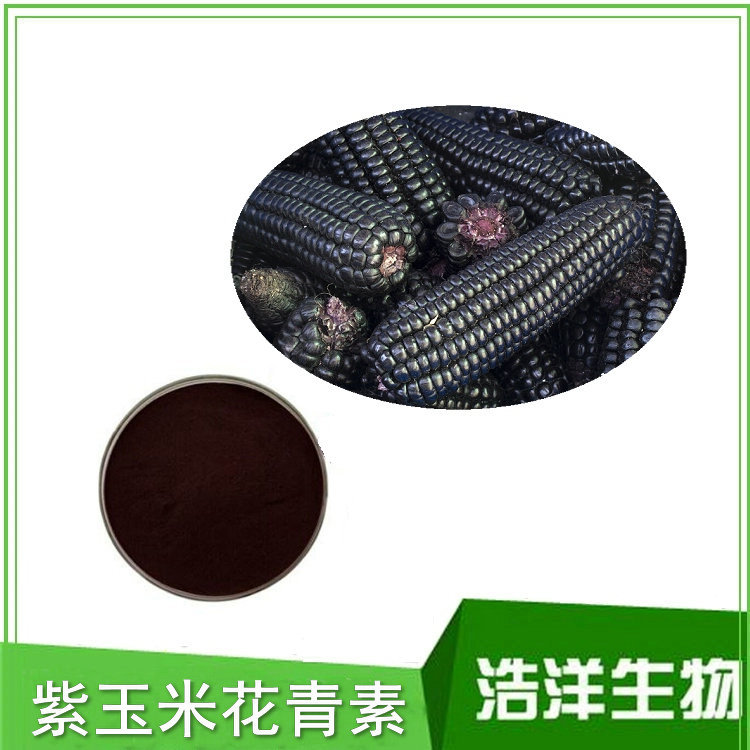 紫玉米花青素25% 黑玉米提取物 紫玉米花色甙 浩洋生物