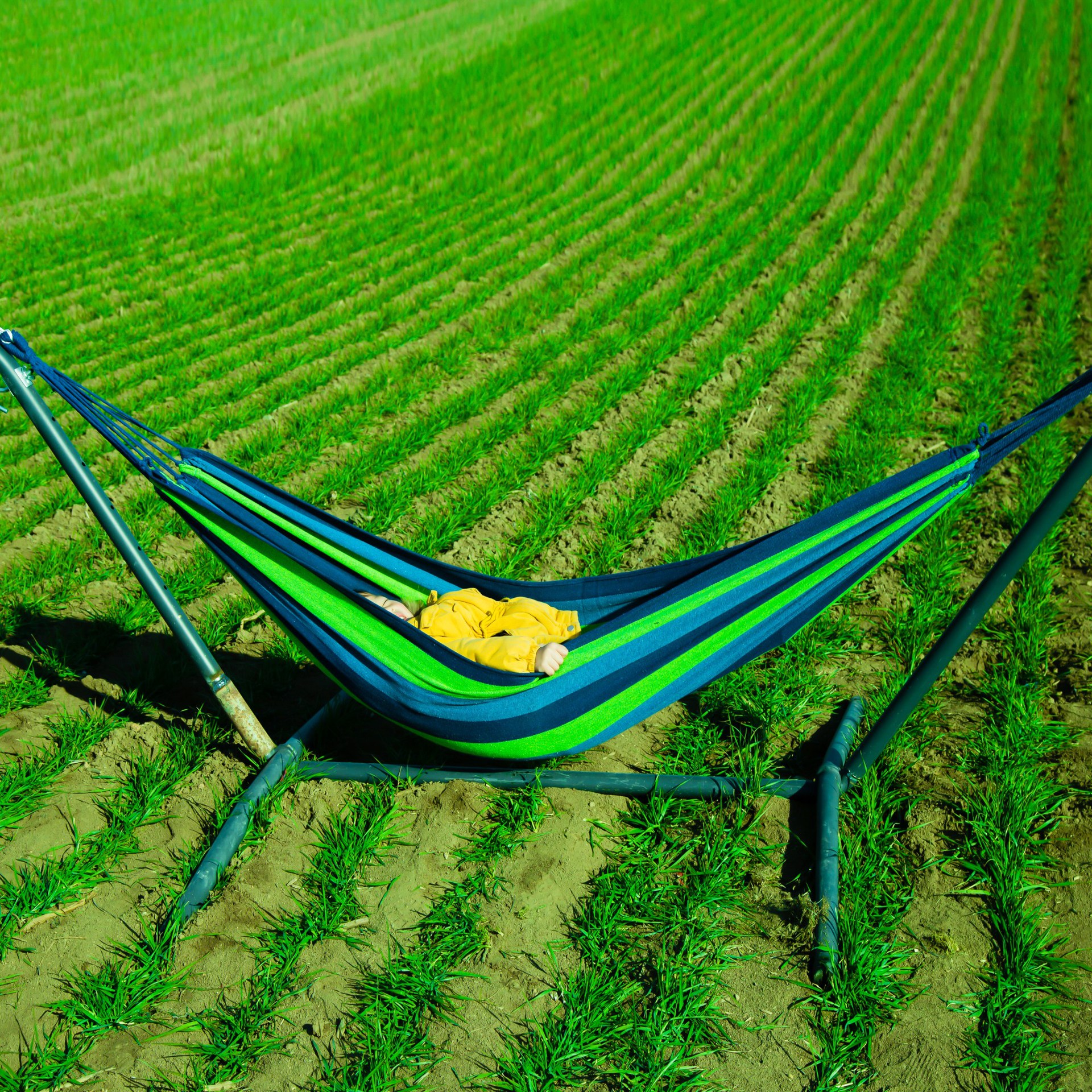 厂家直销 加工定制 加厚帆布吊床 加宽双人吊床 室内户外秋千