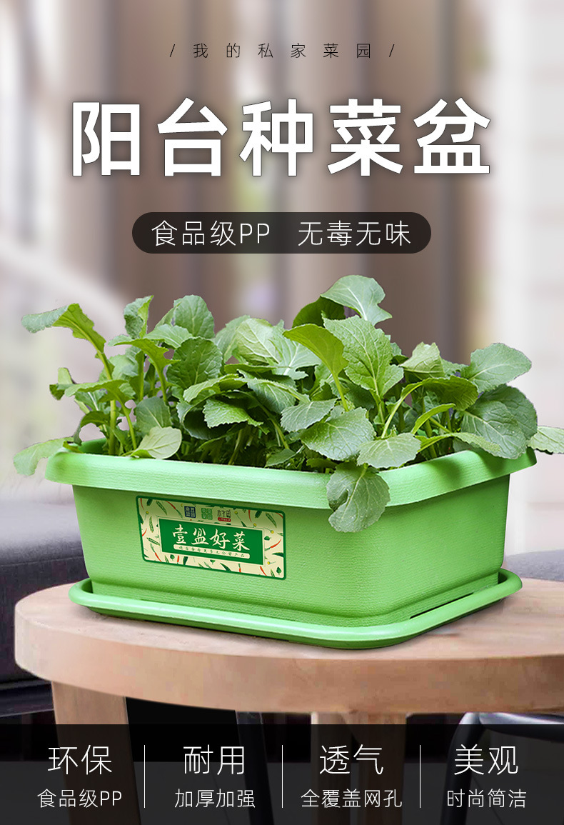 韭菜种植盆土培盆 种菜盆花盆 家庭蔬菜盆种植盆阳台种植厂家批发