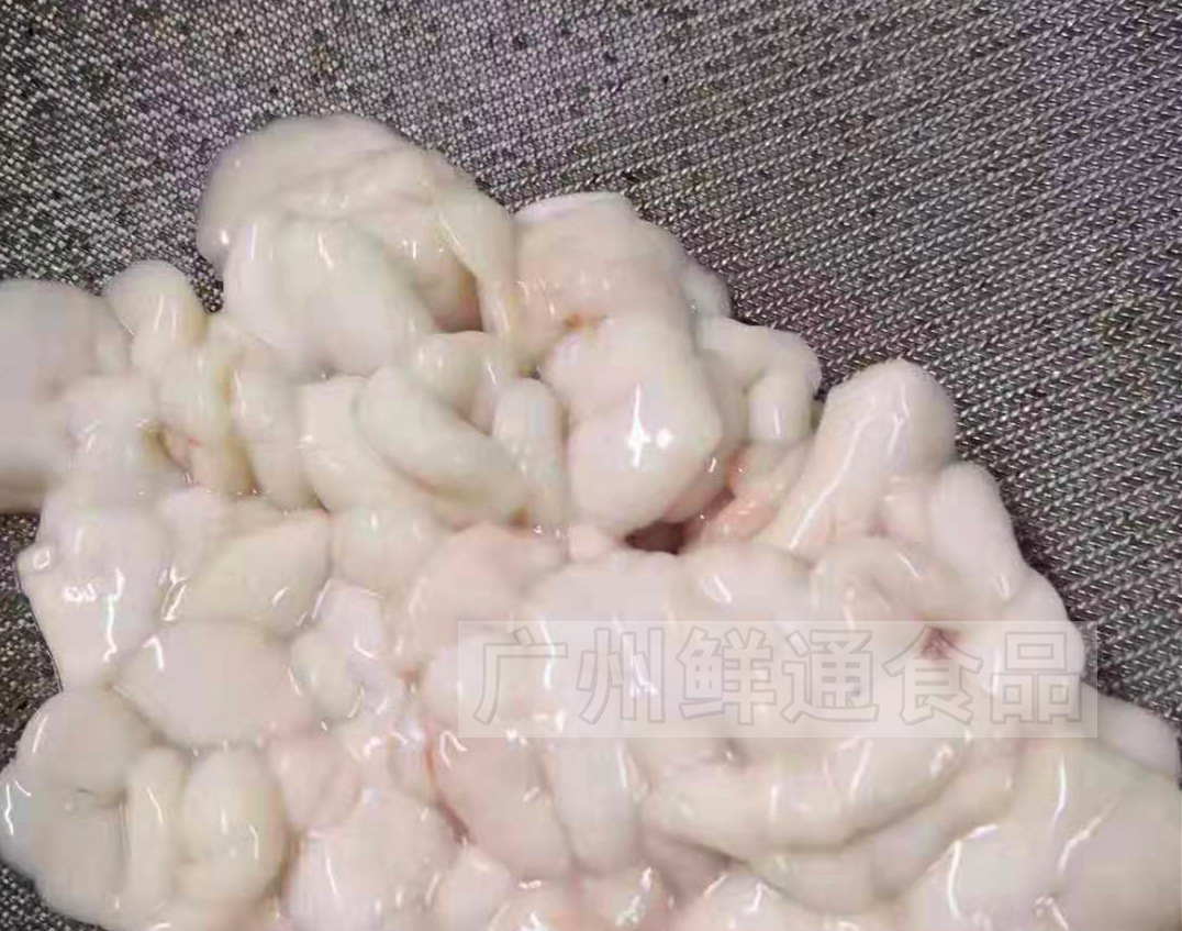 【鳕鱼白籽】原味鱼籽鱼子雪鱼子白鱼子寿司日本料理日料酒店