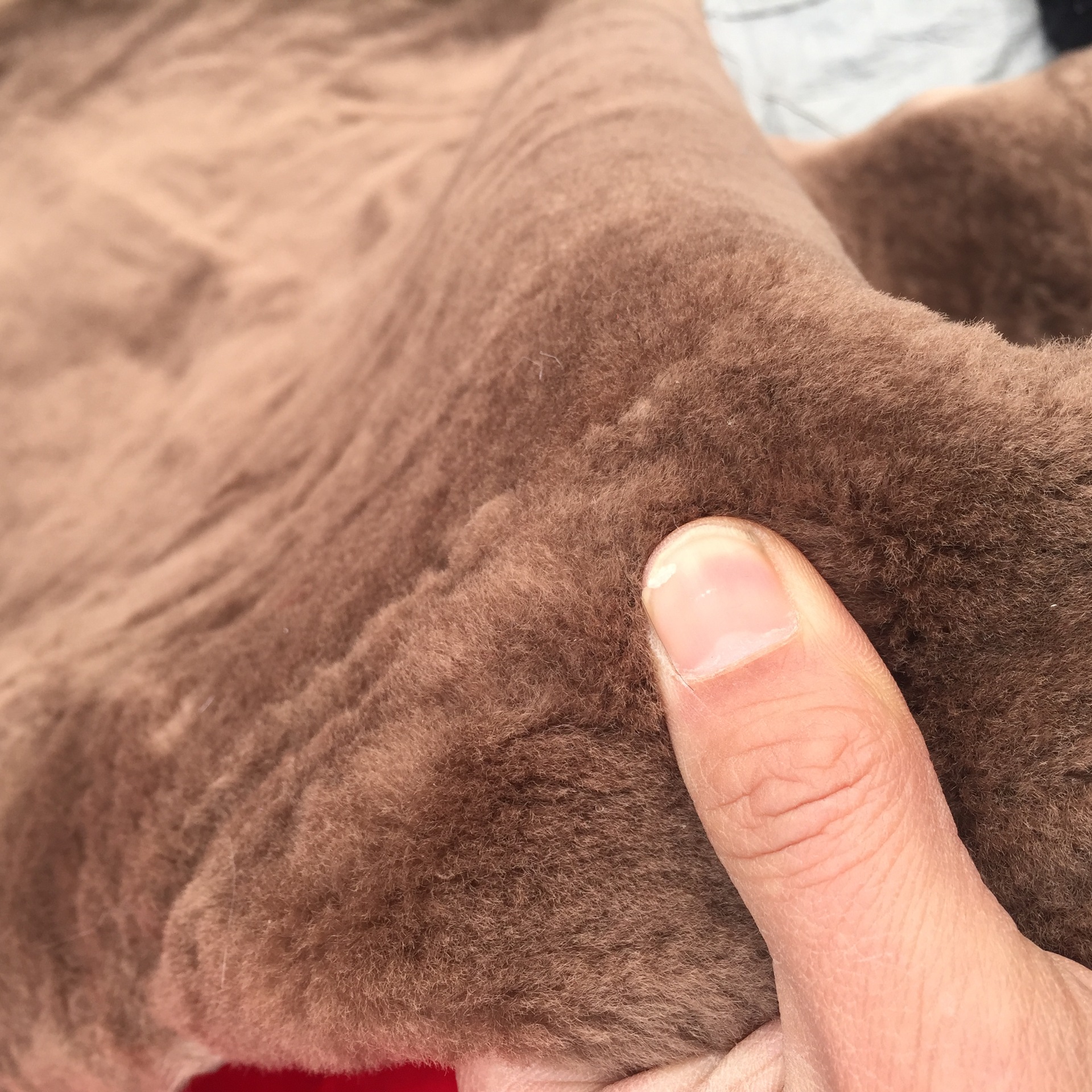 尾货羊皮羊剪绒皮毛一体原料