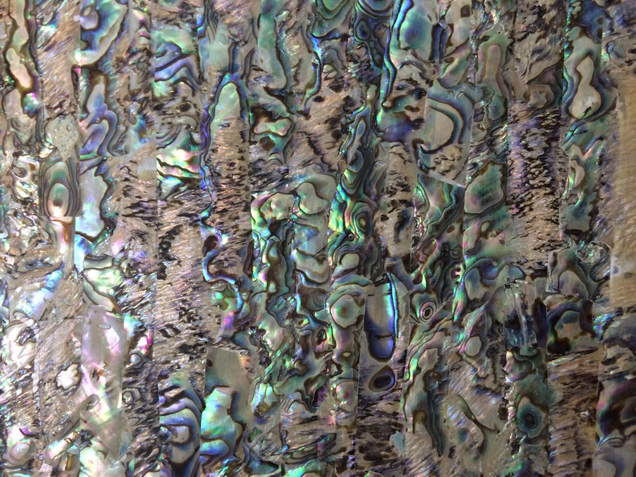 贝壳纸鲍鱼贝纸 肉贝纸 贝壳雕花木皮 家具装饰 木皮雕花