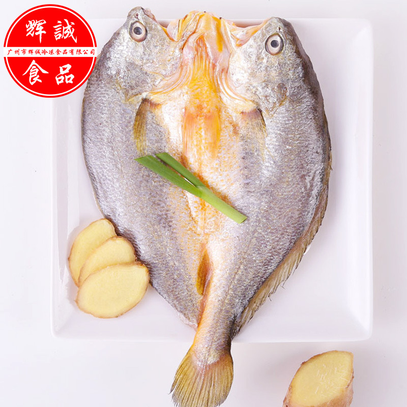 开背黄花鱼 批发真空包装深海大小黄鱼开边清蒸香煎 冷冻黄花鳘鱼