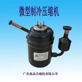 直流12v制冷小型压缩机 帐篷空调压缩机
