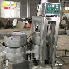 厂家供应ly-500型竹笋压榨机脱水机 肉泥压干挤干设备 草莓压榨机