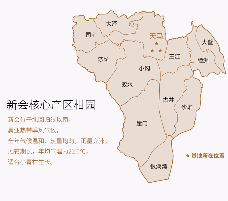 厂家直销新会特产天马散装十克柑胎 陈皮 小青柑壳 陈皮丝 小青柑