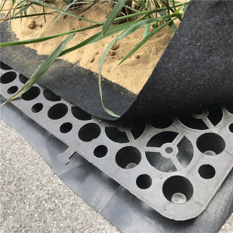 室内种植阻根疏水板楼顶花园种菜滤水板广场绿化塑料hdpe蓄排水板