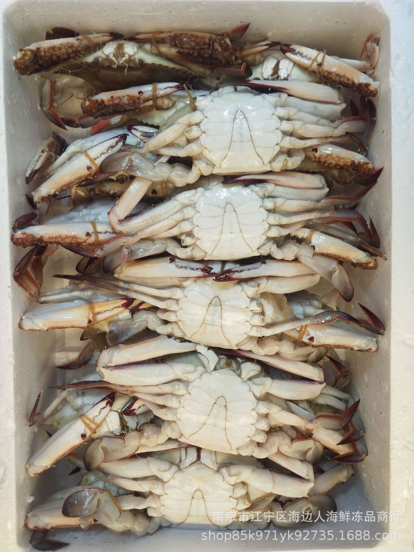 连云港产地直销活冻梭子蟹速冻鲜蟹冷冻花蟹冻石蟹鲜冻三点蟹螃蟹