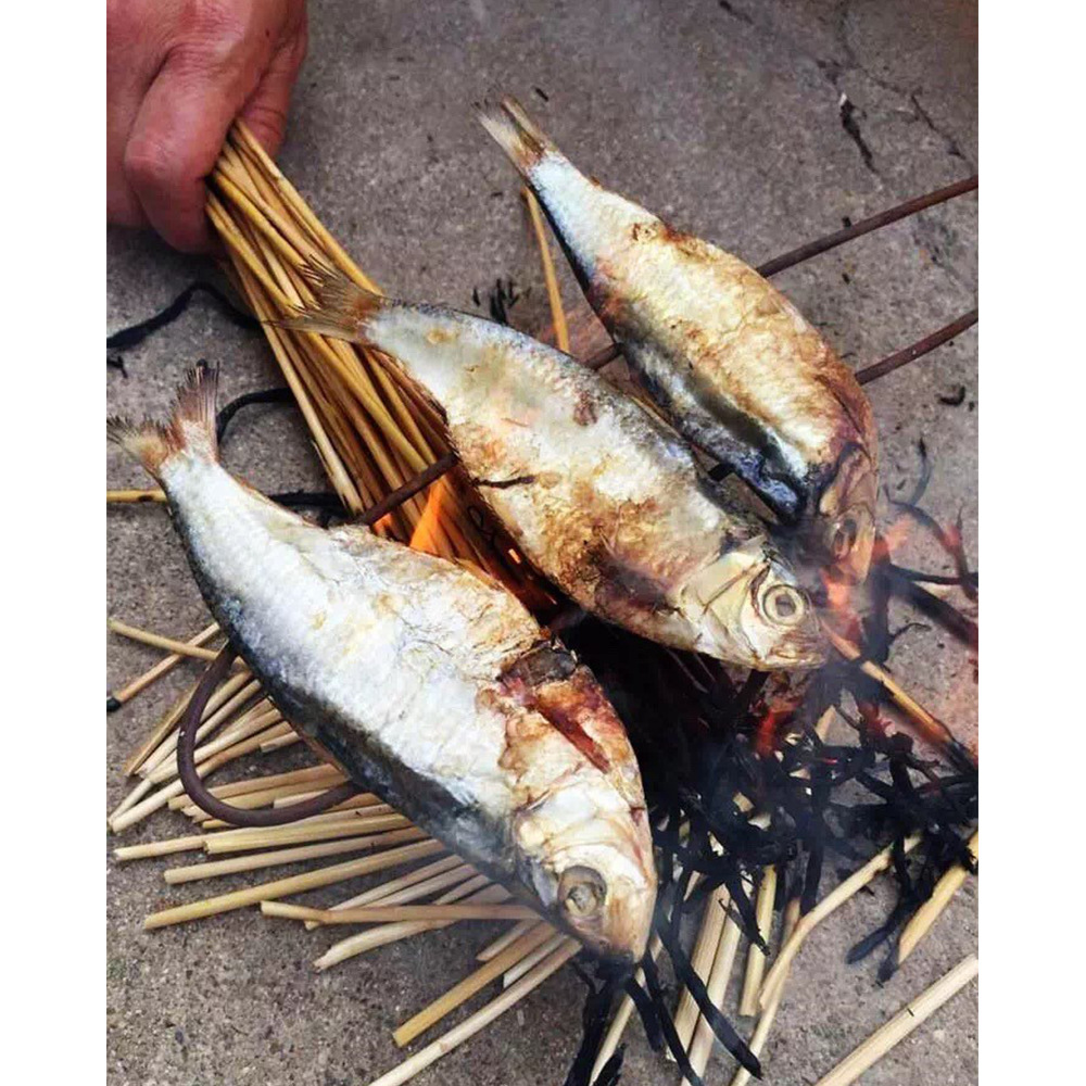 诚招青鳞鱼干莱州特产小青鱼青鳞子鱼代理