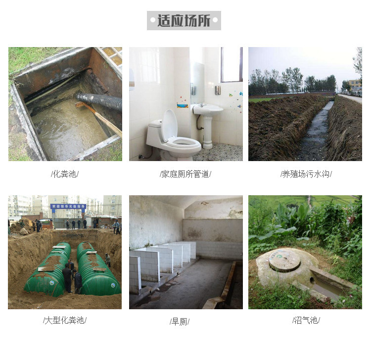 生态厕所专用菌 化粪池化粪剂 生物化粪剂 厕所农村 生态厕所1kg