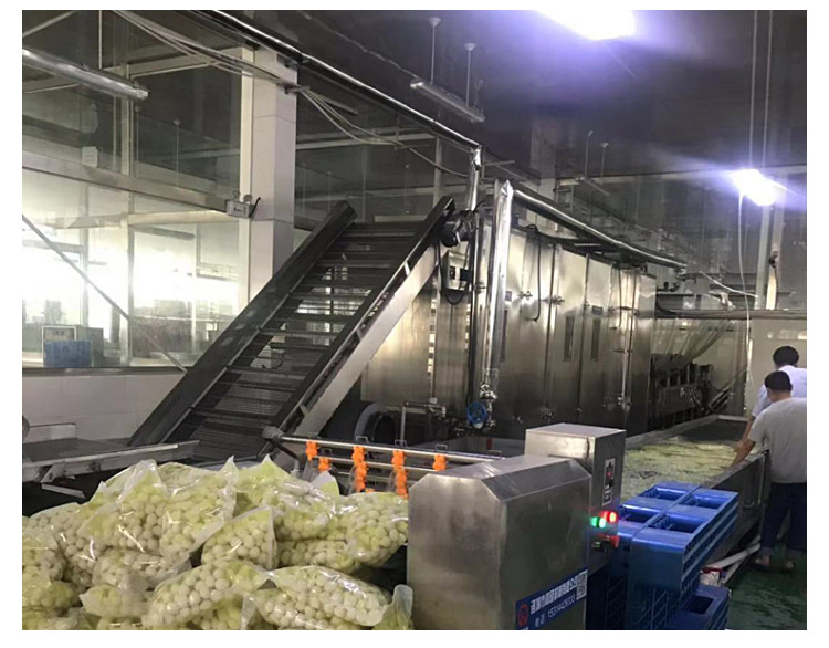 梅干菜烘干线 梅干菜连续烘干设备 梅干菜带式烘干机