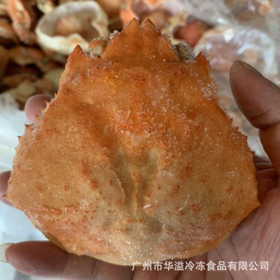 冷冻蟹宝 带壳蟹肉 大壳50克/只 冷冻海产品批发蟹宝蟹斗黄金蟹宝