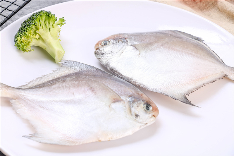 连云港黄海冰鲜鲳鱼 海鲜冻品 海捕鲳鱼生鲜鲳鱼 冰冻银鲳鱼批发