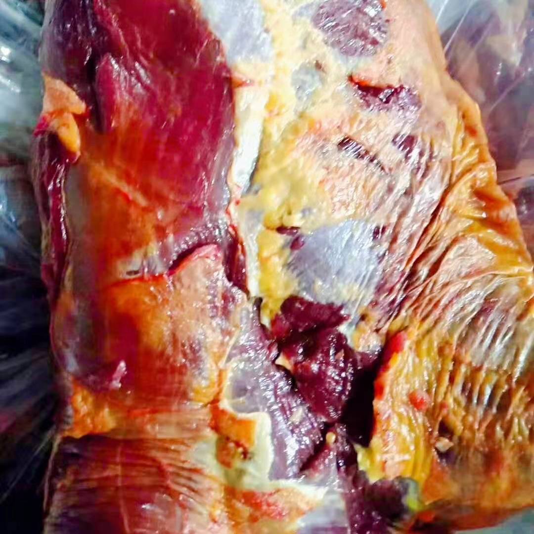 厂家直销马腱子肉 蒙古原产地直供 草原红烧肉专用 进口马肉