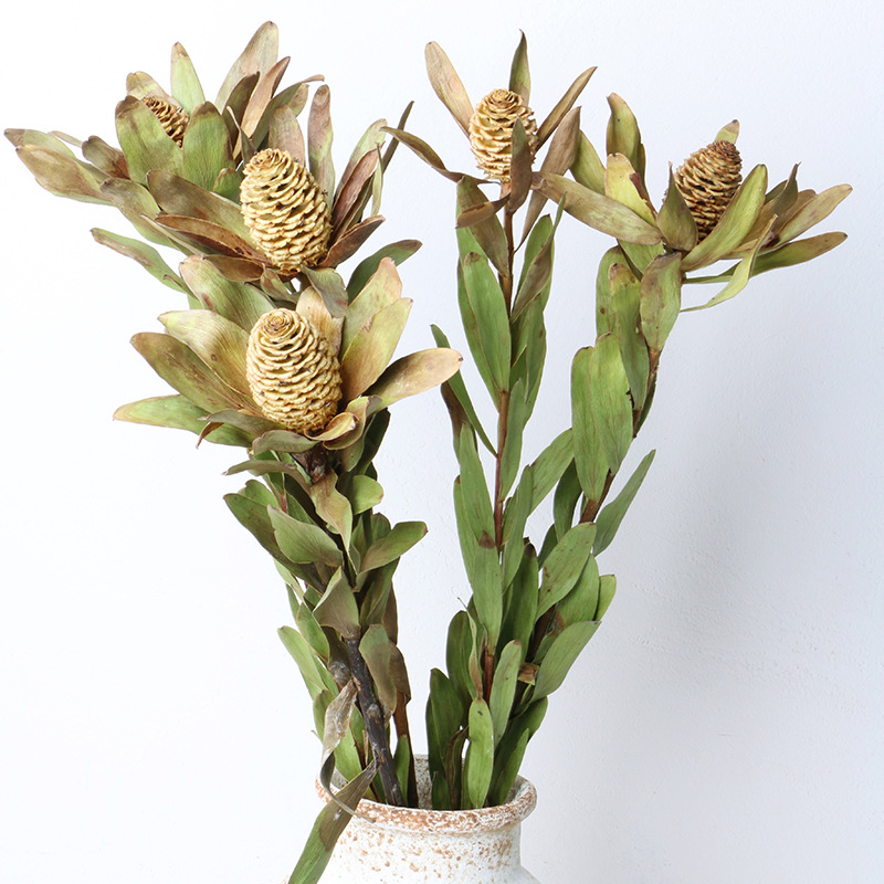 家居插花 木百合干花花瓶插花摆件自然风干 咖啡厅民宿软装摆设