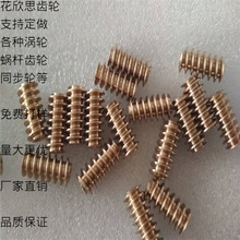 电机蜗杆 工厂生产各种蜗杆蜗轮 黄铜电机涡轮 0.5模数电机蜗杆