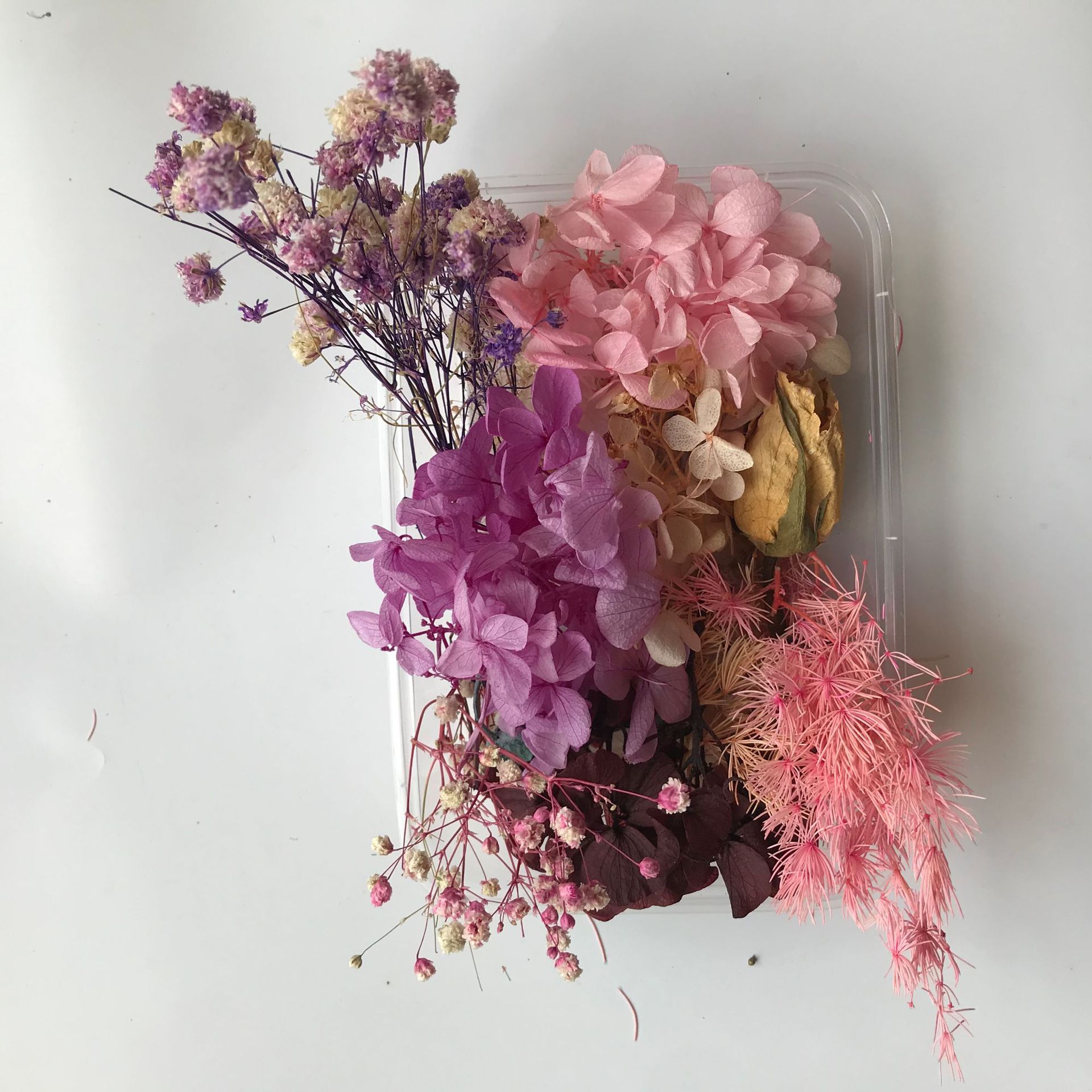 零散花材干花永生花材料包手工diy相框团扇ins风材料多色