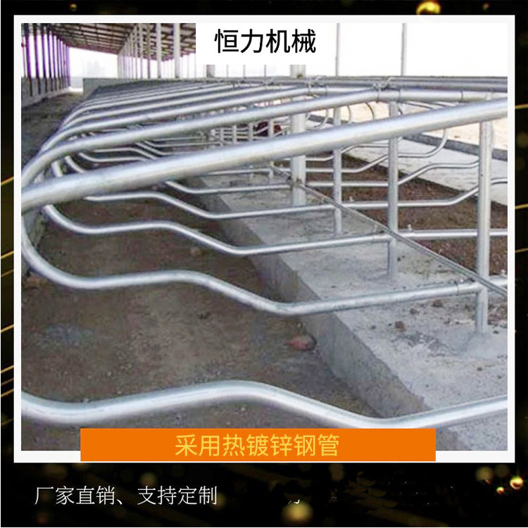 厂家定做牛场专用牛卧栏 内外热镀锌管牛卧床 奶牛休息定位栏价格