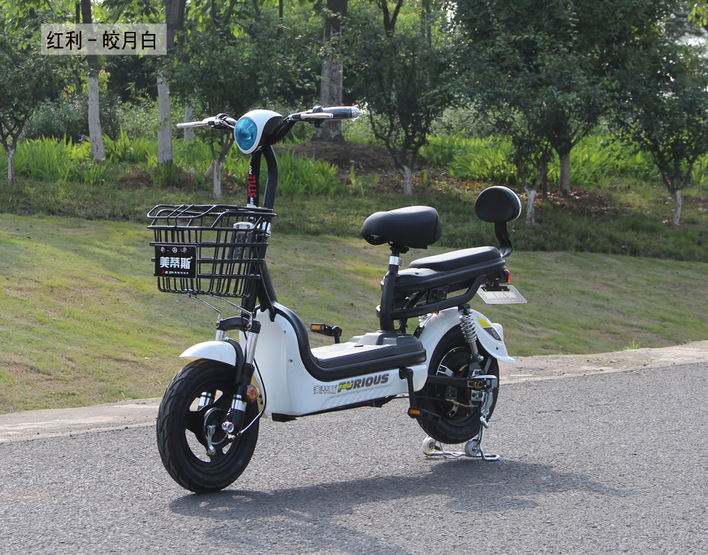 出口红利电动车48v电瓶车厂家直销