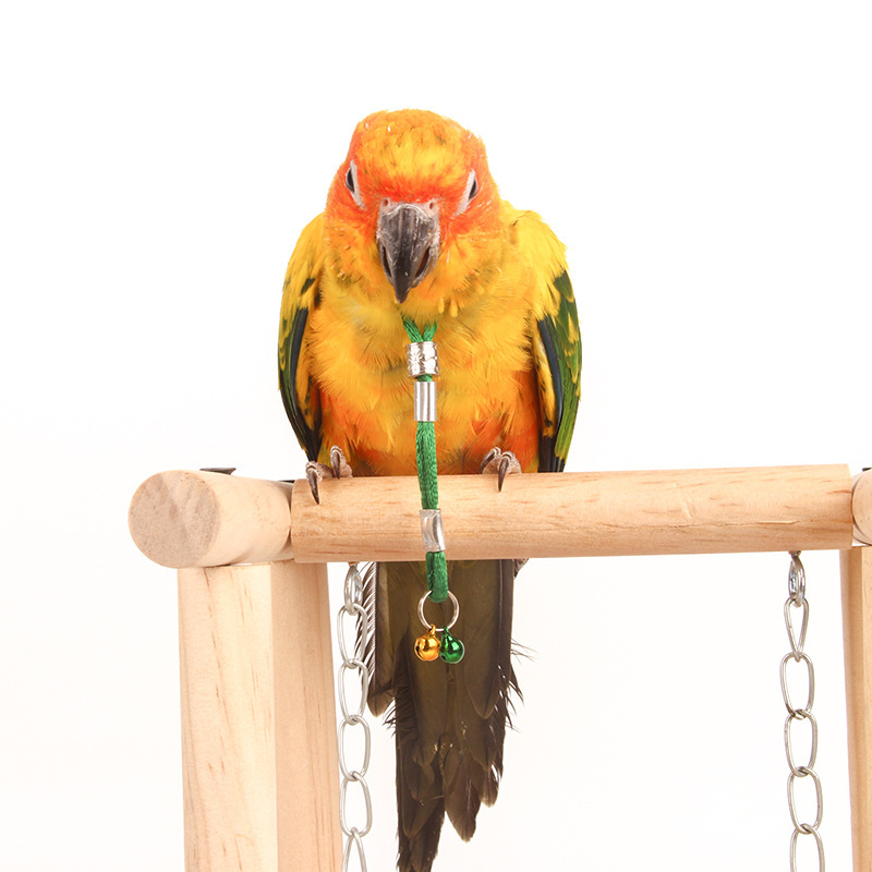 鸟用脖绳脖套铃铛鹦鹉脚环链/ 画眉黄鹂蜡嘴伯劳八哥/绳/锁/脖/套