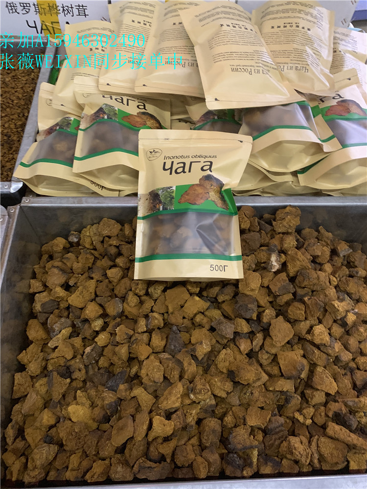 俄罗斯桦树茸一包一斤白桦茸 桦树泪大量批发 一天一壶煮水喝