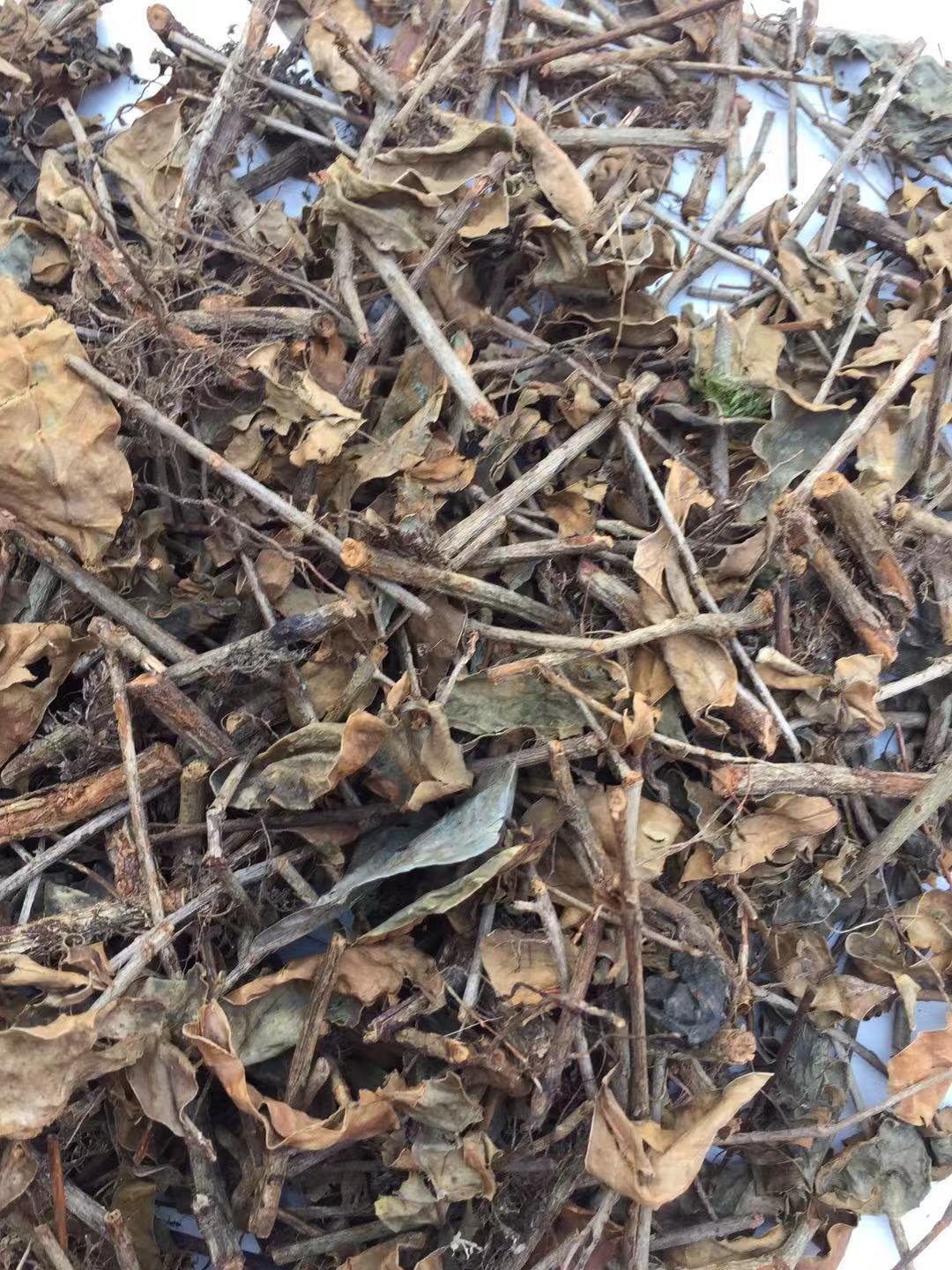 包邮 产地直销 中药材 十二两银 草药 无硫磺批发供应