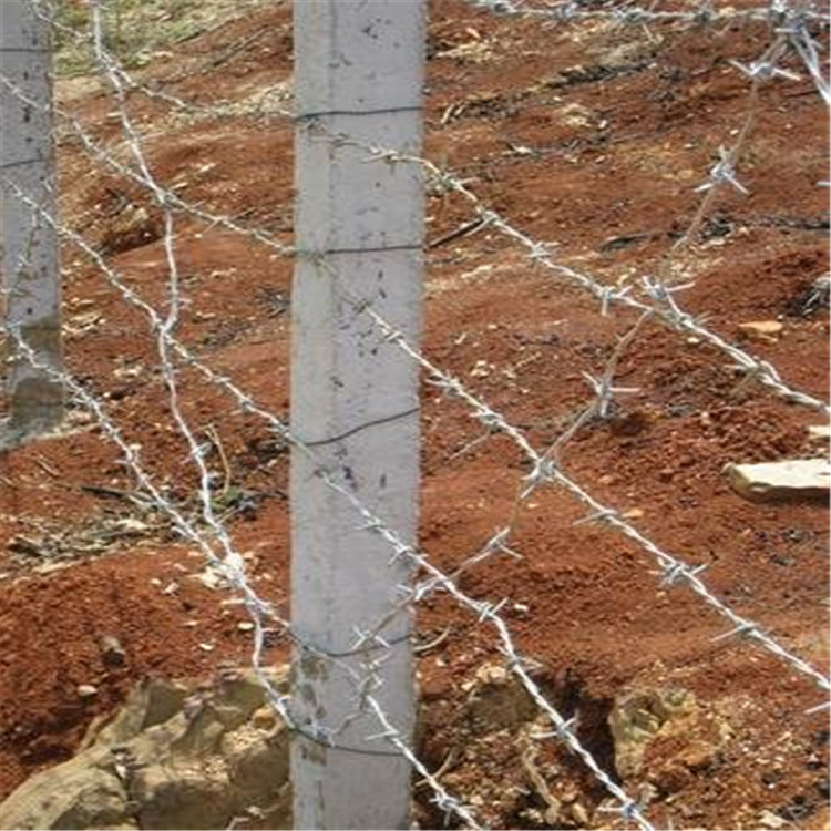 铁丝网围栏 户外钢丝刺绳刺铁丝离护栏网防爬刺防盗热镀锌 热镀锌