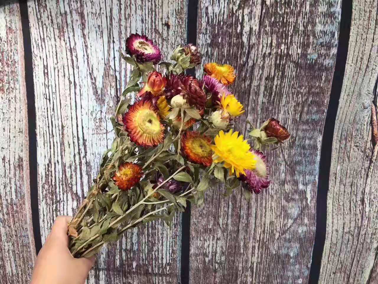 花头混色搭配产品大小:18头/束产品名称:干花菠萝菊真花自然风花束橙