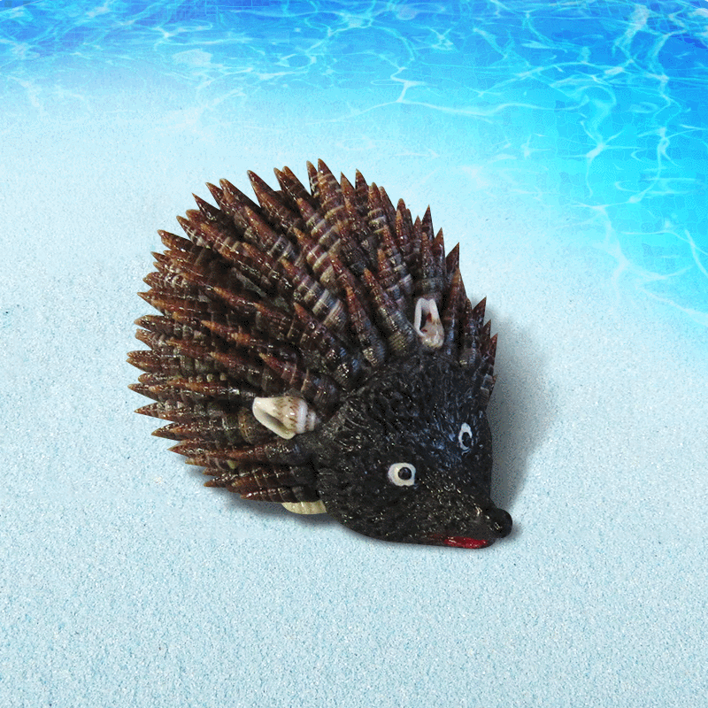 旅游工艺品 新品手工动物小刺猬 海螺贝壳小动物摆件定做