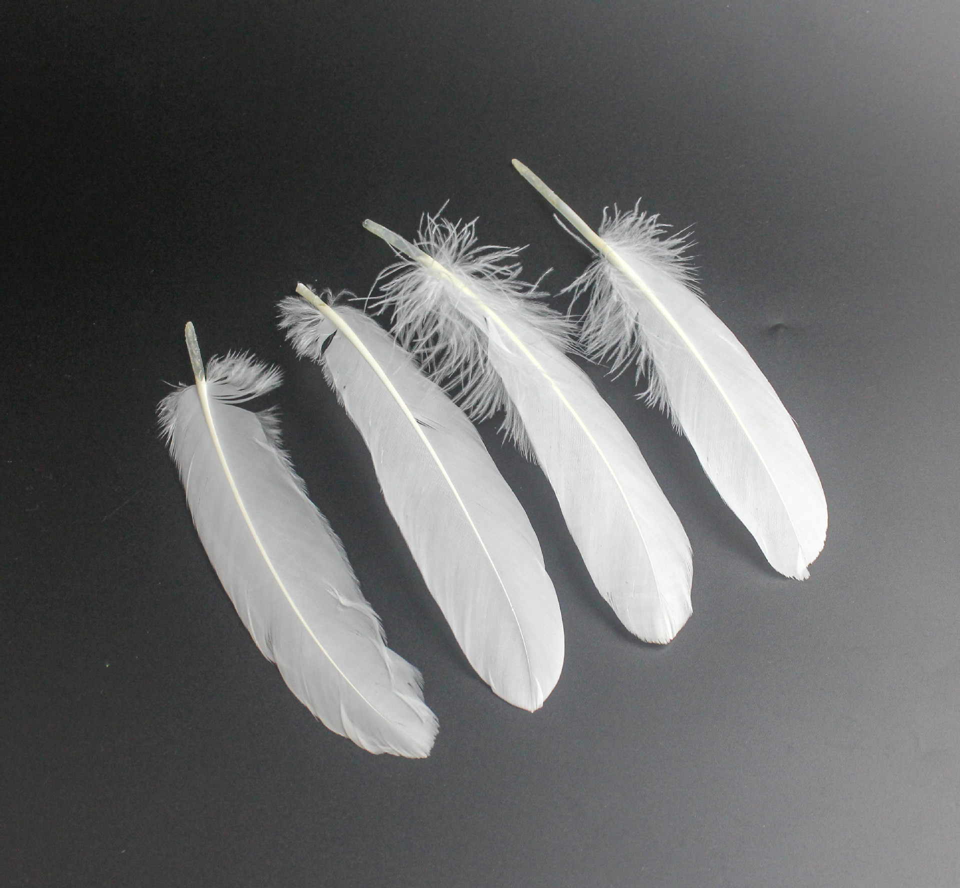 义乌鹅毛染色羽毛硬飘大飘幼儿diy装饰品材料面具配件白色 彩色-阿里